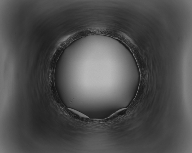 X0000086961016200705071331
