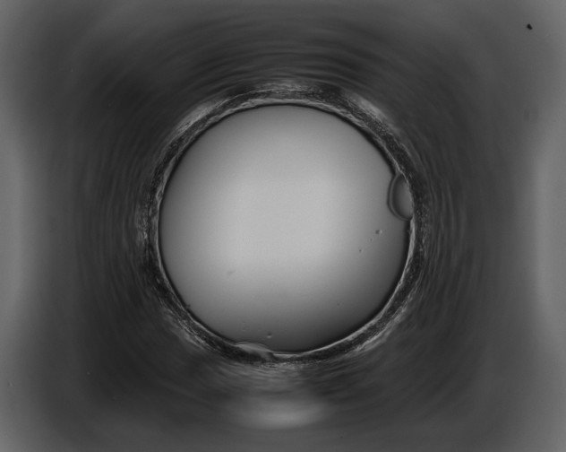 X0000086961017200705071331