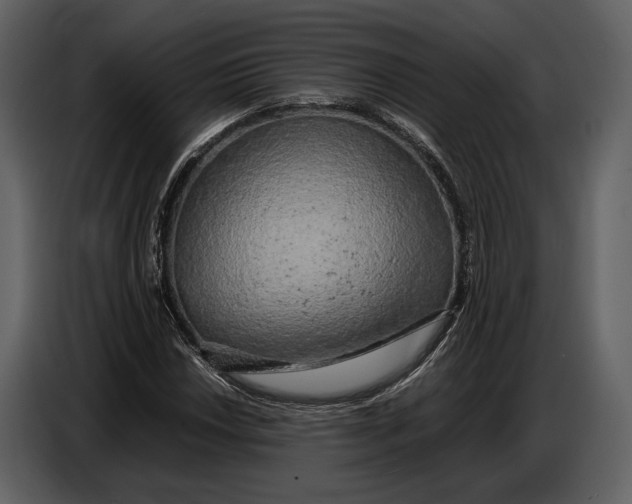 X0000086961018200705071331