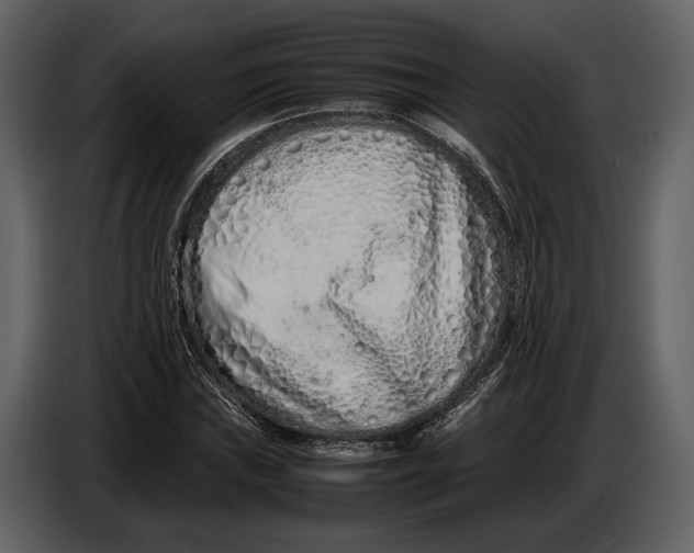 X0000086961019200705071331