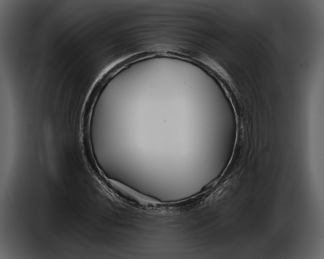 X0000086961020200705071331