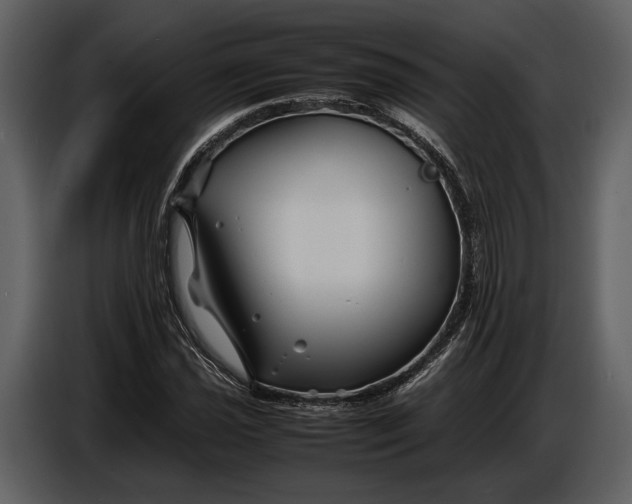 X0000086961021200705071331