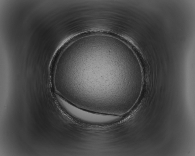 X0000086961022200705071331