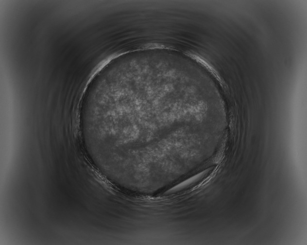 X0000086961023200705071331