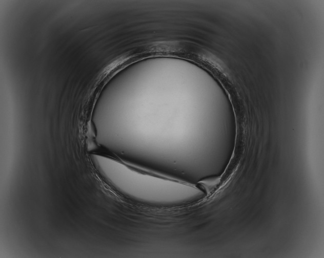 X0000086961025200705071332