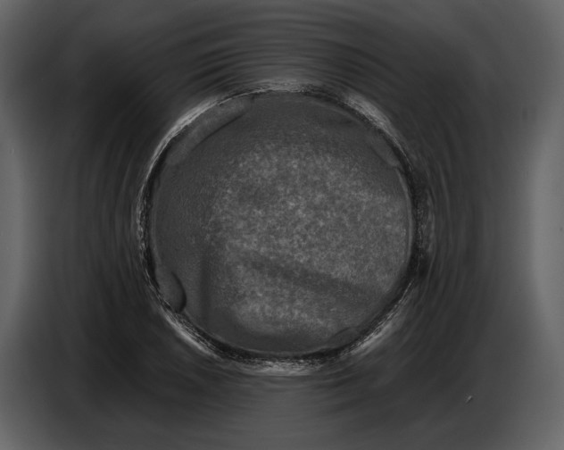 X0000086961026200705071332