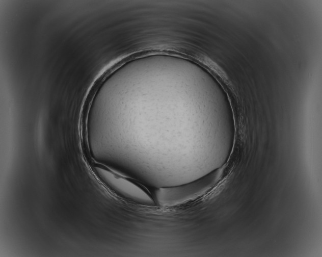 X0000086961028200705071332