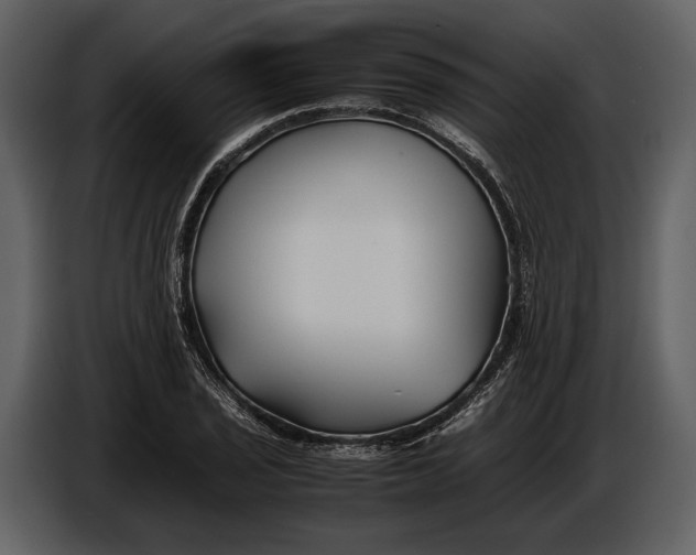 X0000086961029200705071332