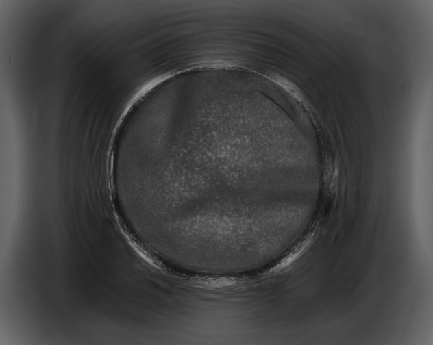 X0000086961030200705071332