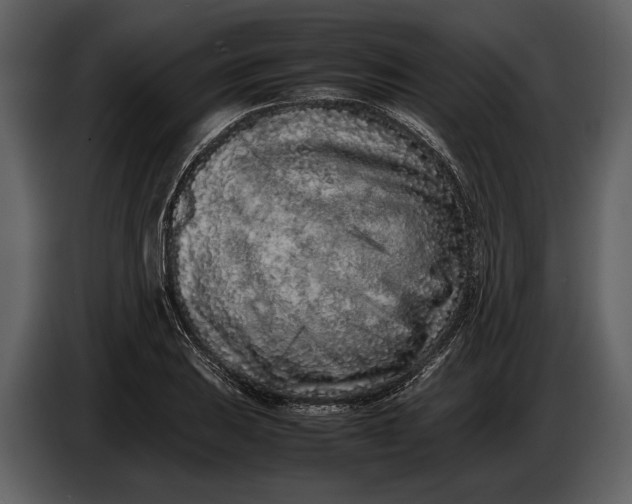 X0000086961031200705071332