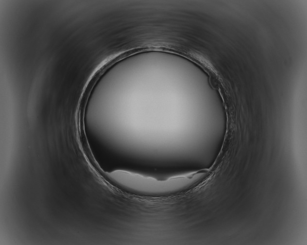 X0000086961032200705071332