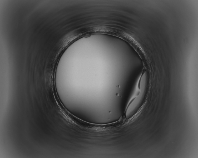 X0000086961033200705071332