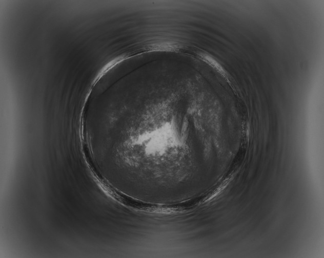 X0000086961034200705071332