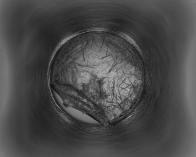 X0000086961035200705071332