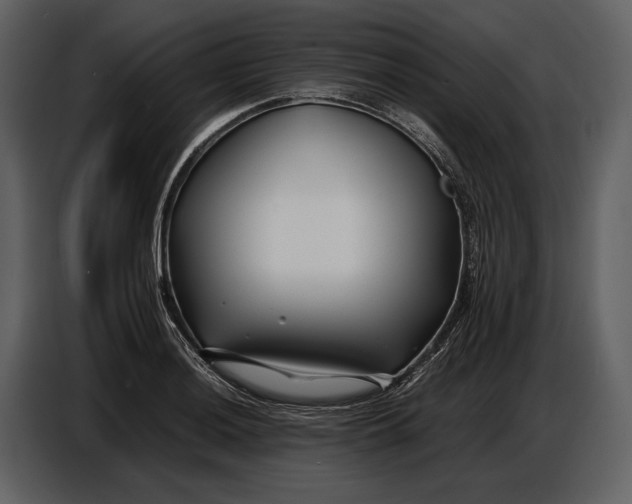 X0000086961036200705071332