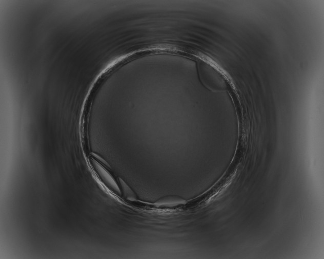 X0000086961037200705071332