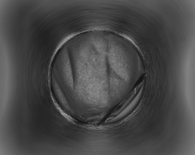 X0000086961038200705071332