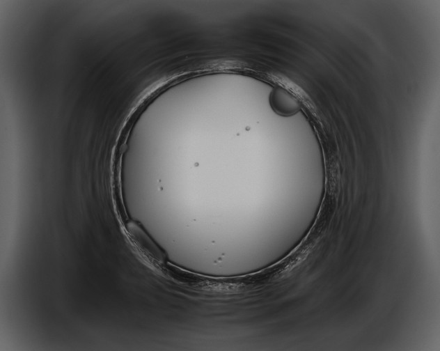 X0000086961039200705071332