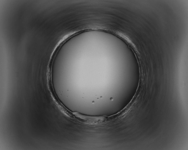 X0000086961040200705071332