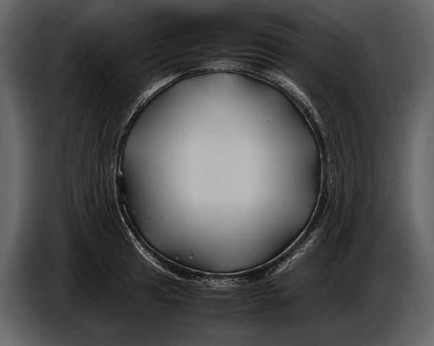 X0000086961041200705071332
