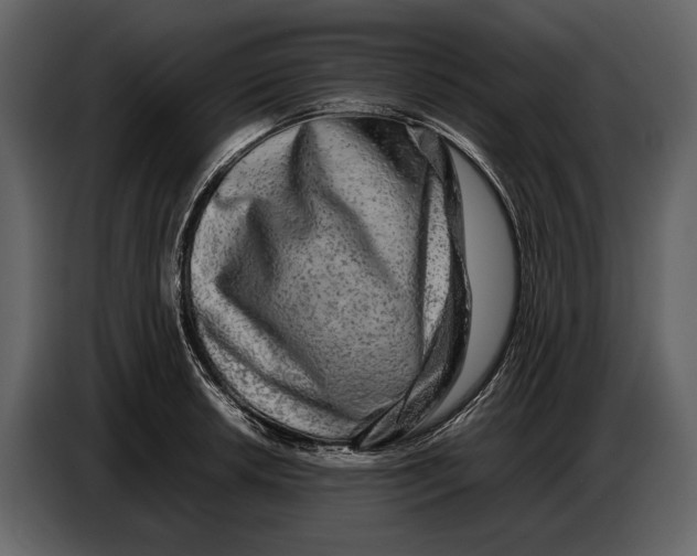 X0000086961042200705071332