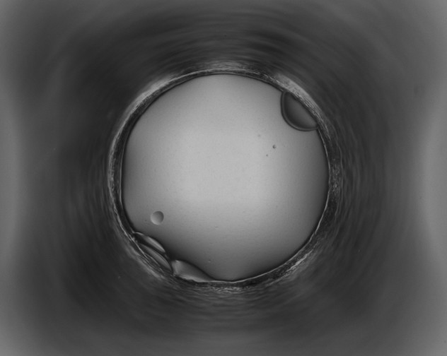 X0000086961043200705071332
