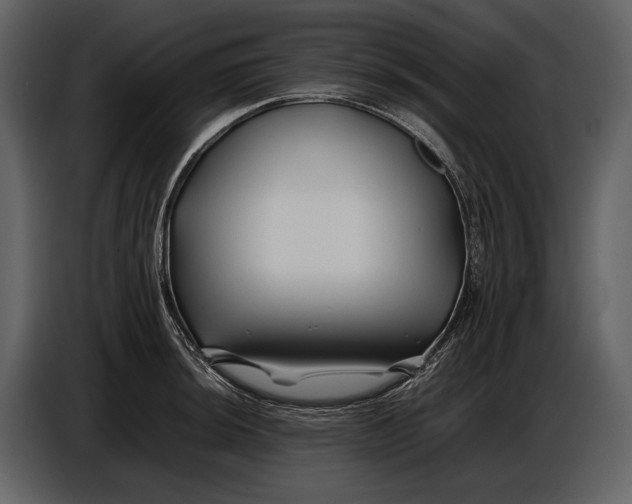 X0000086961044200705071332
