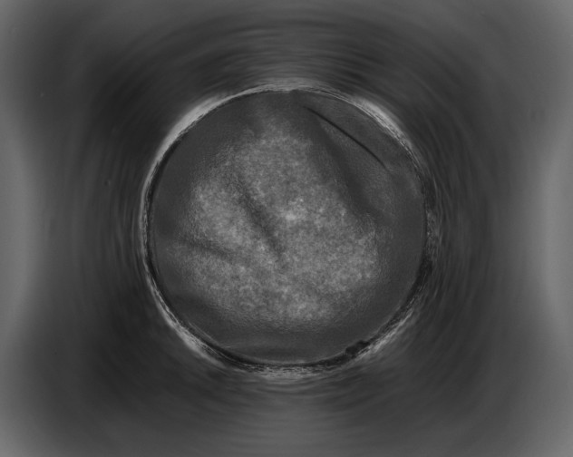 X0000086961046200705071332