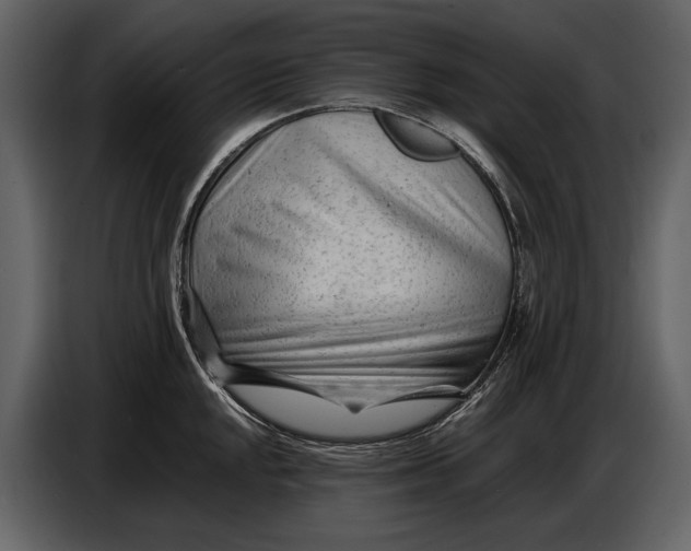 X0000086961048200705071332