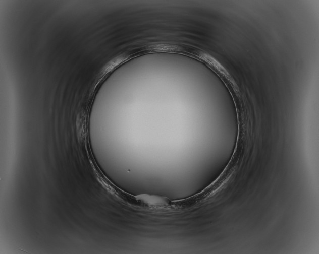 X0000086961049200705071332