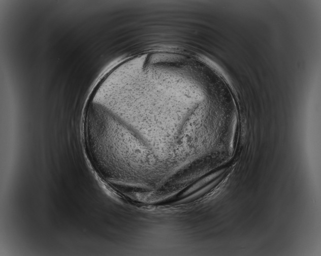 X0000086961050200705071332