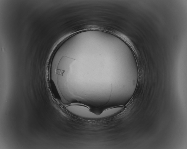 X0000086961051200705071332