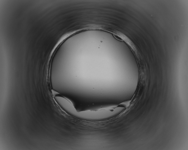 X0000086961052200705071332