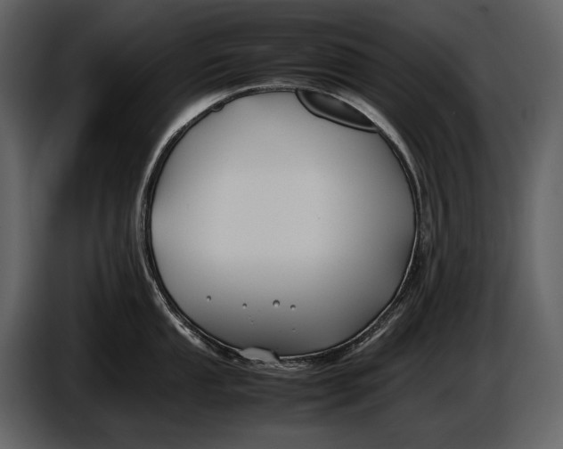 X0000086961053200705071332