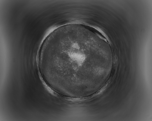 X0000086961054200705071332