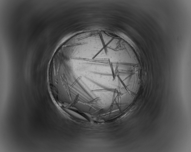 X0000086961055200705071332
