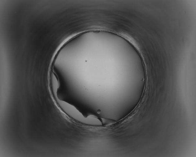 X0000086961056200705071332