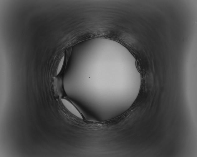 X0000086961058200705071331