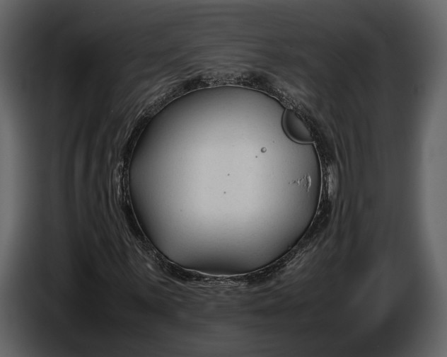 X0000086961059200705071331