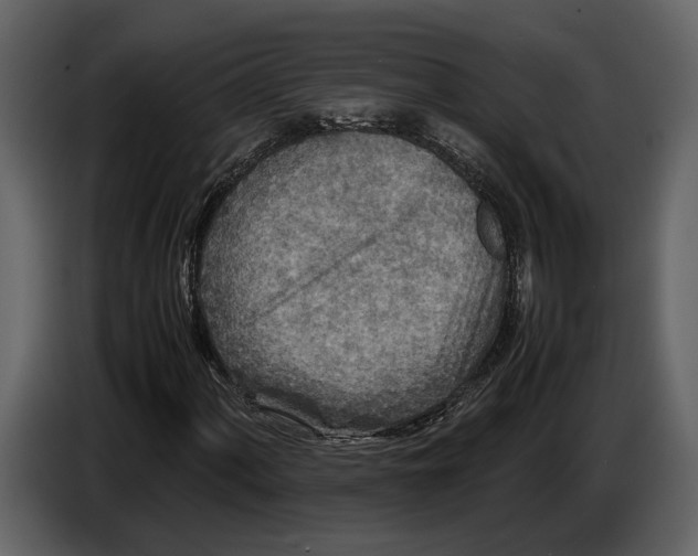 X0000086961060200705071331