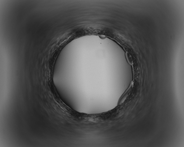 X0000086961061200705071331