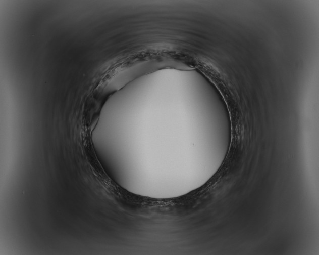X0000086961062200705071331