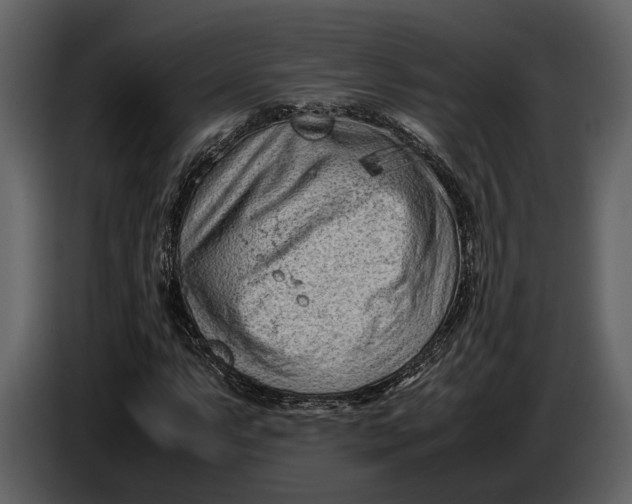 X0000086961063200705071331