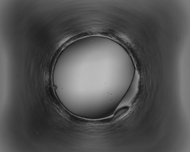 X0000086961065200705071331
