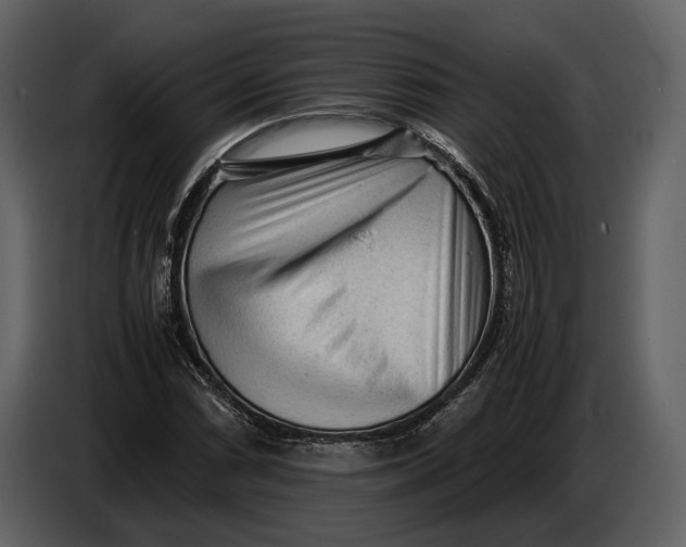 X0000086961066200705071331