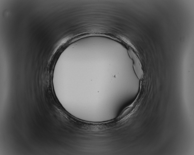 X0000086961067200705071331