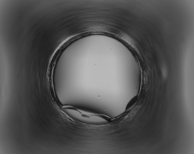 X0000086961068200705071331