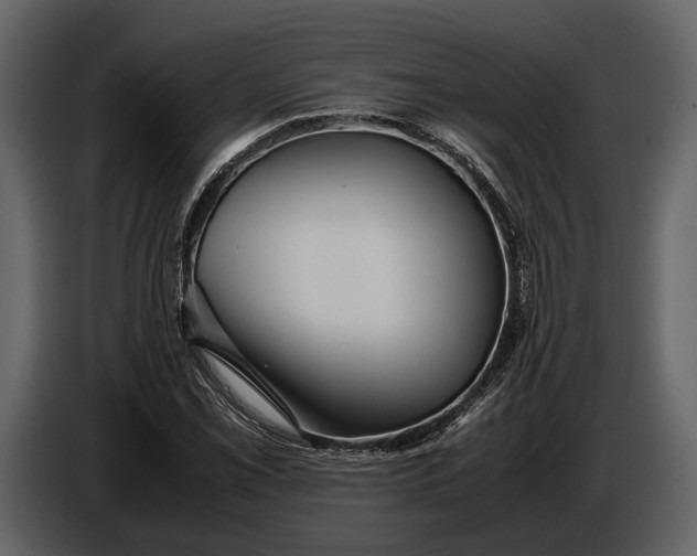 X0000086961069200705071331