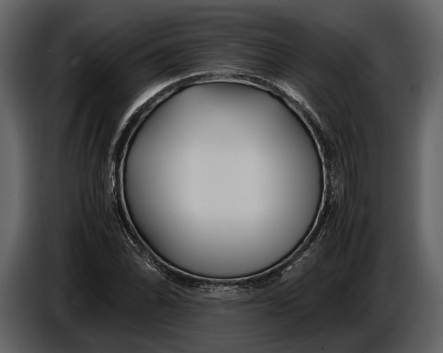 X0000086961070200705071331
