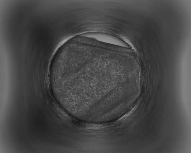 X0000086961071200705071331